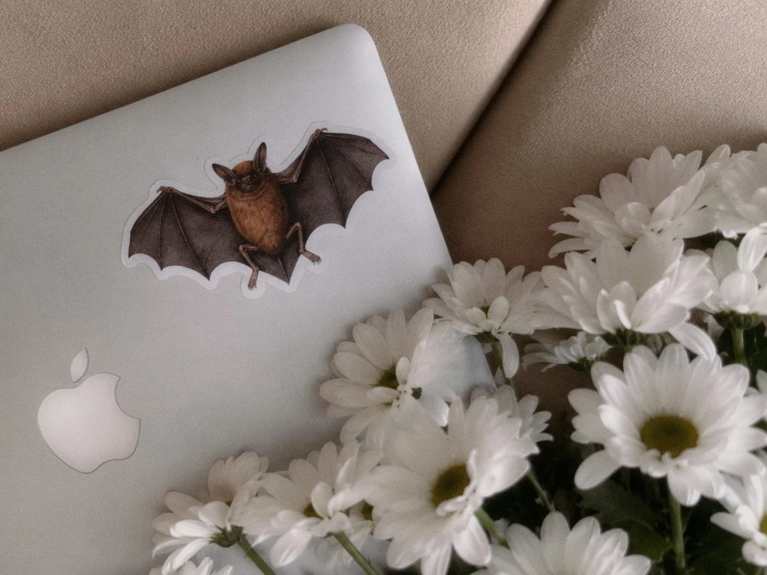 bat spread wings laptop.jpg