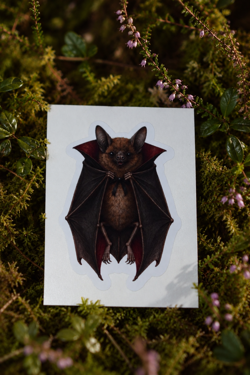 Bat Vampire Cloaked Sticker
