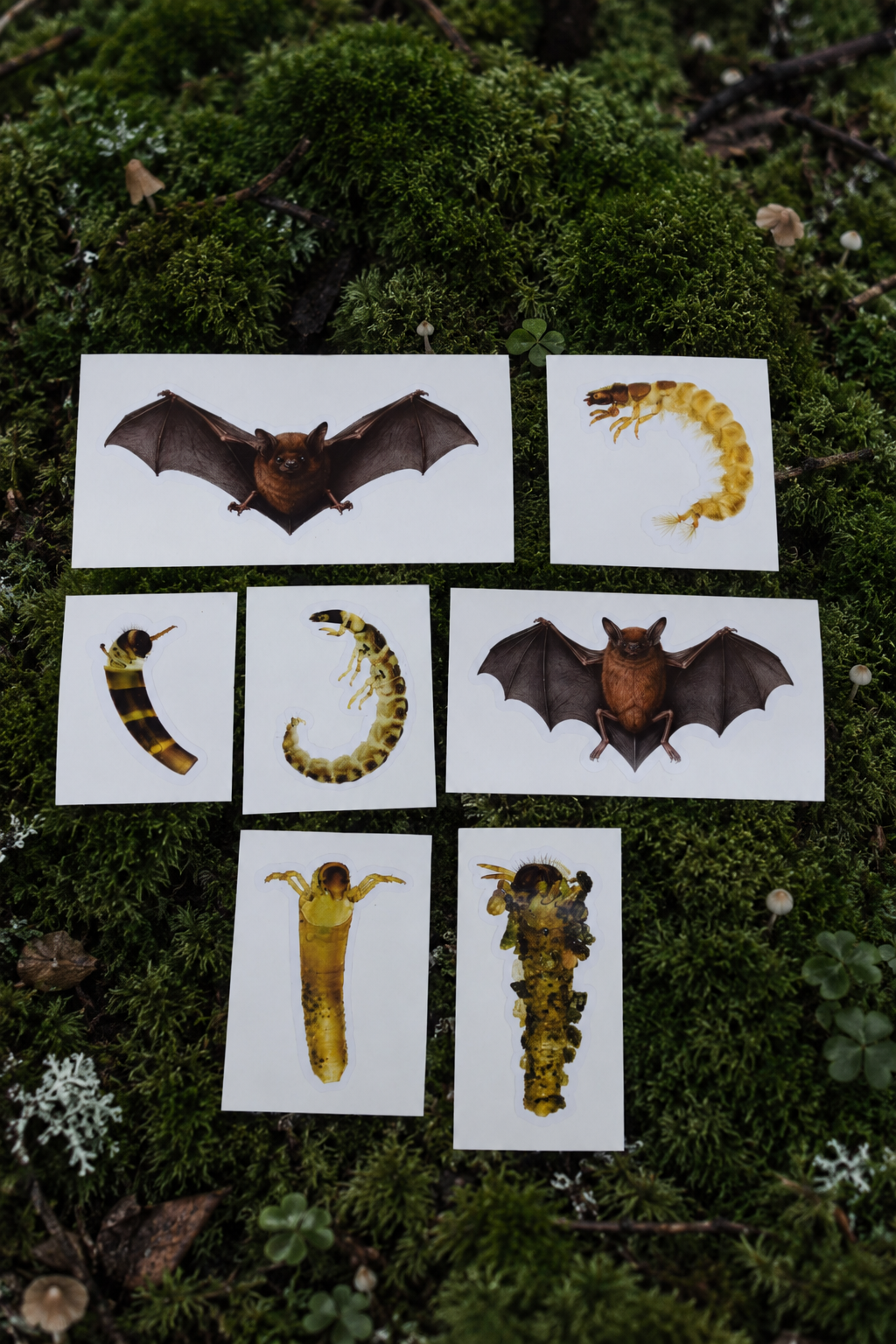Bugs + Bats Sticker Bundle
