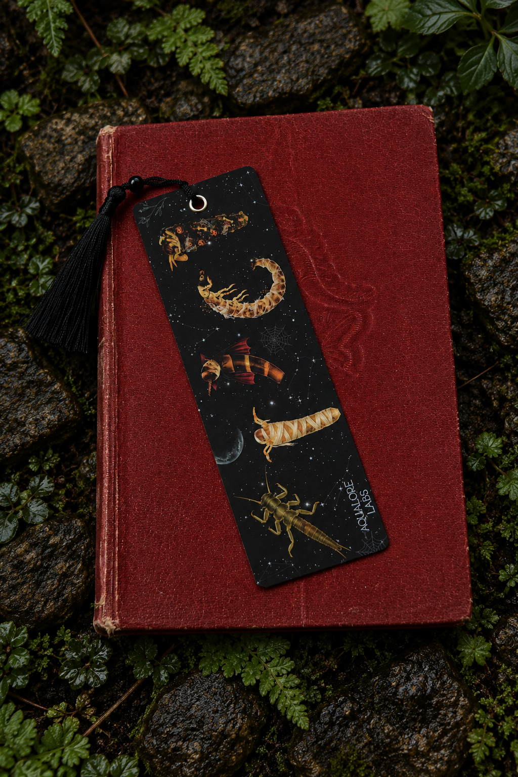 Halloween Macroinvertebrate Bookmark