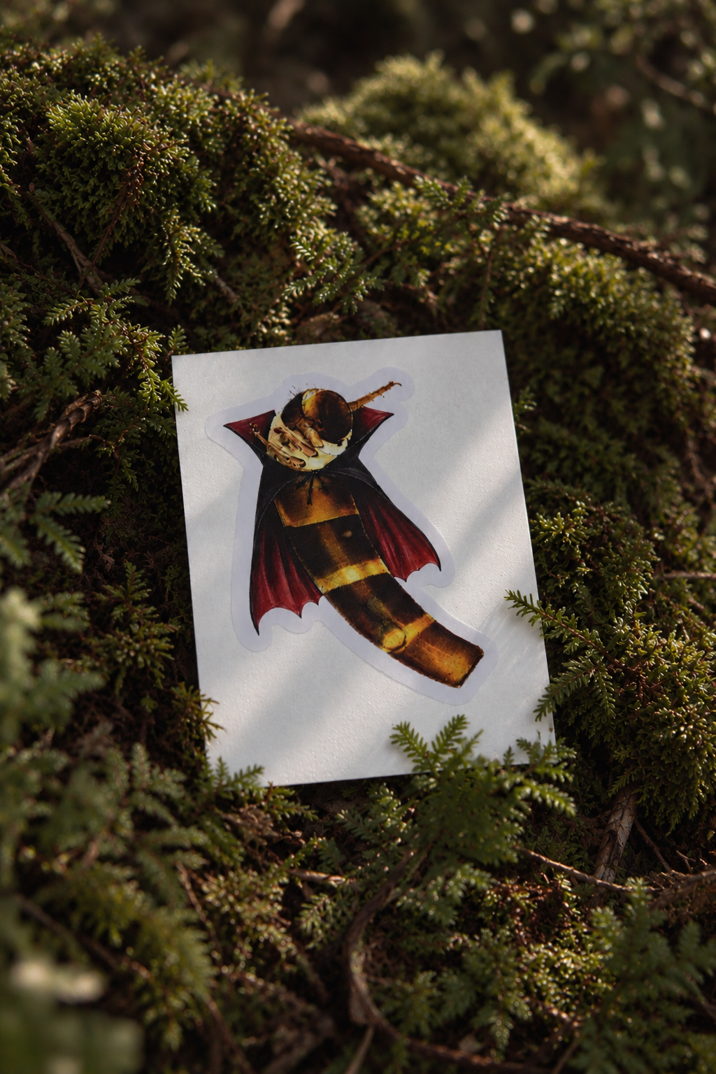 Confluens Vampire Sticker