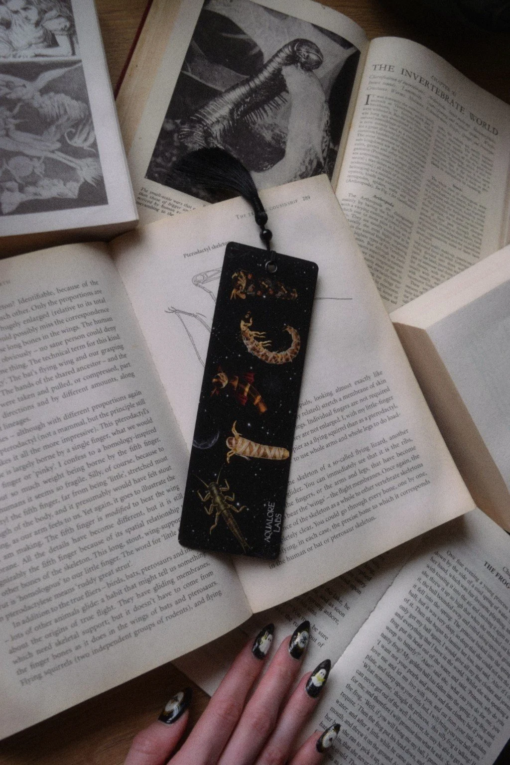 bookmark 2.jpg