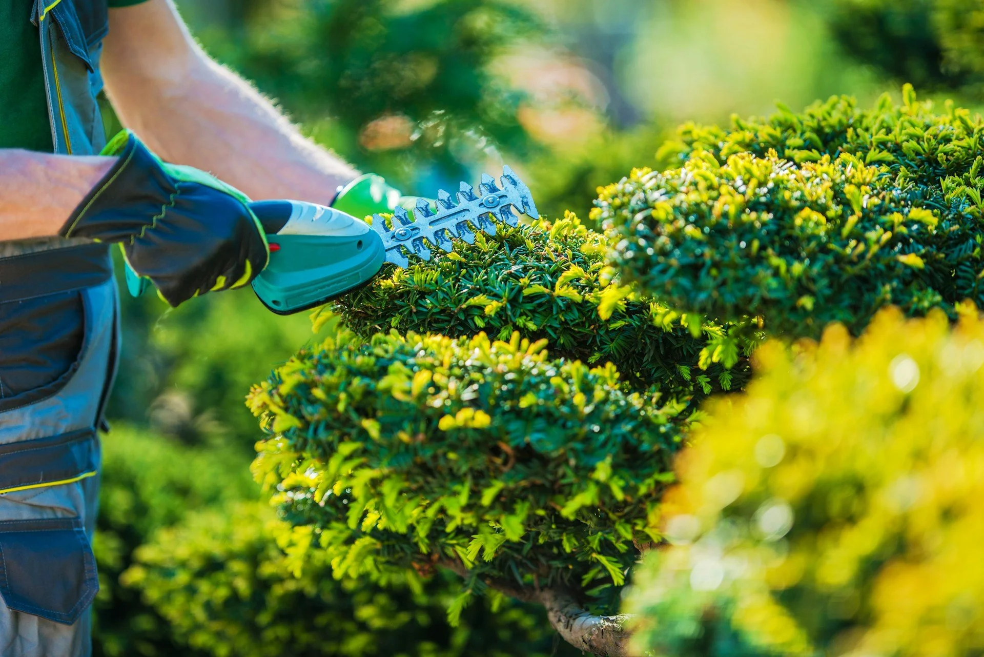 Landscaping Services to Try for Holiday Yard Magic