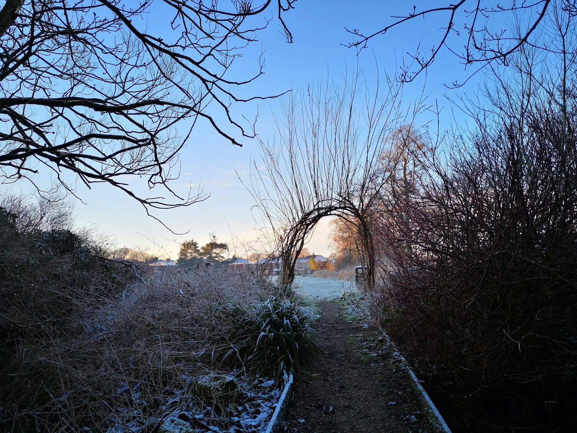 Landscaping Services Made for the First Weeks of Winter