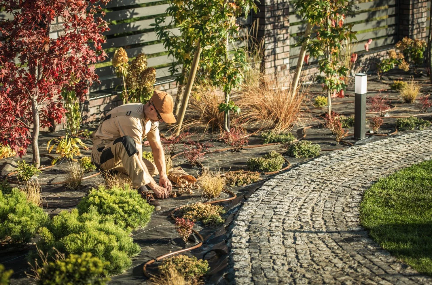 Why Landscaping Services Matter for Post-Holiday Cleanup