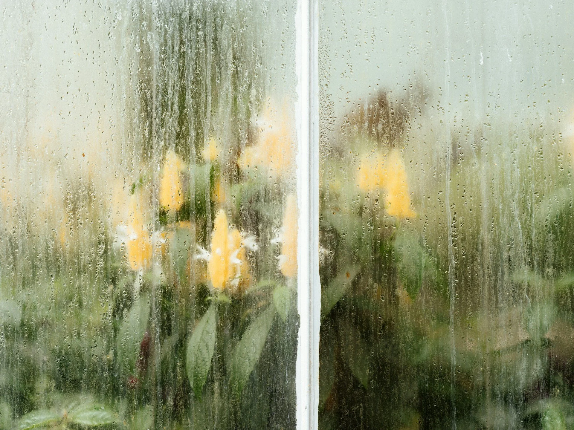 Spring Showers