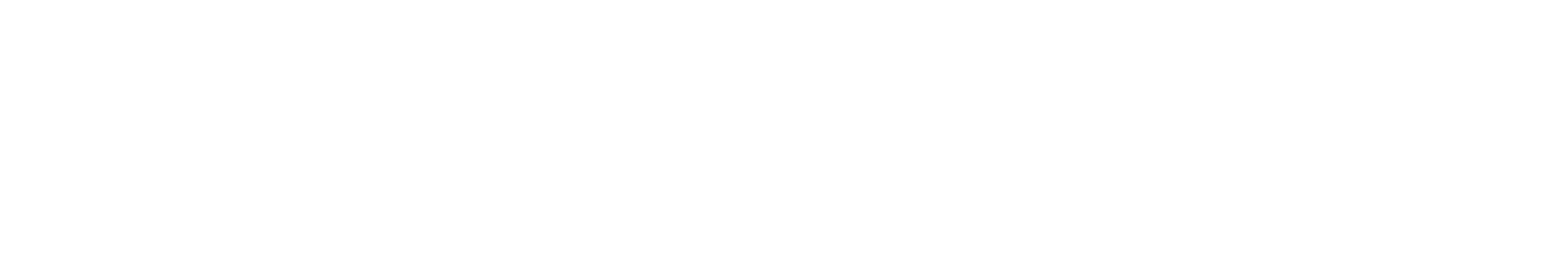 Fabiani Mediation