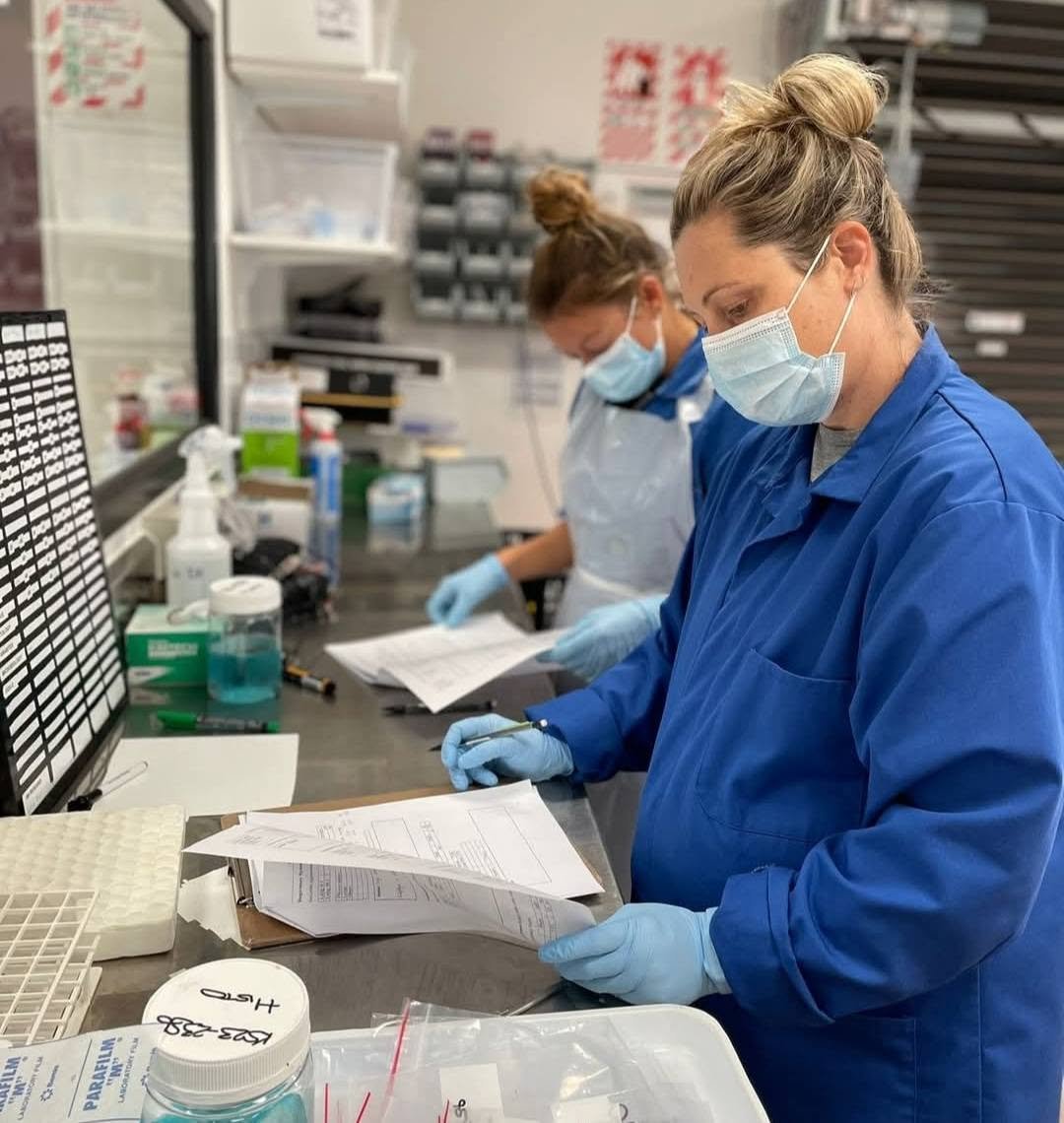 Marine biologists at Massey University's CERG research centre fill out a report on research samples