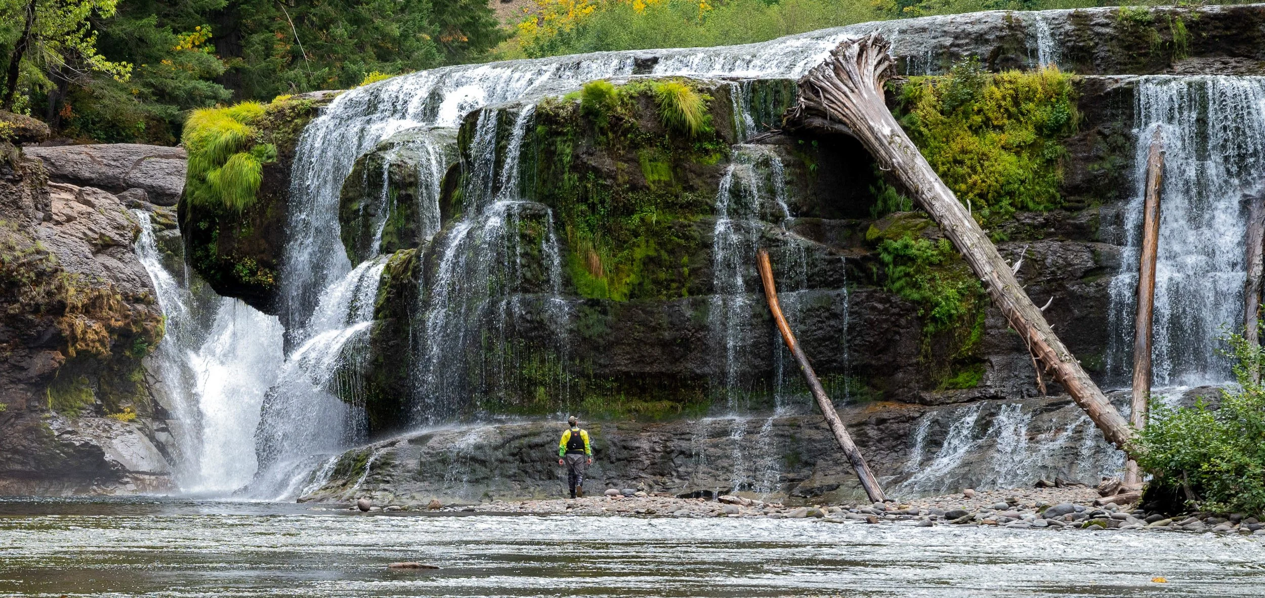 Man at the Falls.jpg