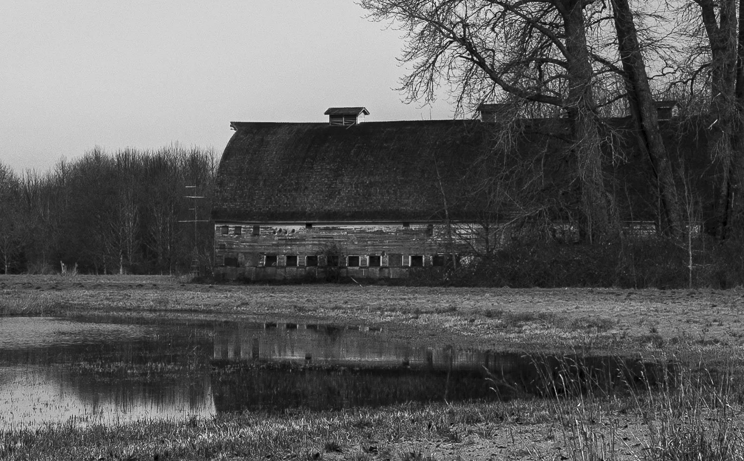 DSC_0199.JPG