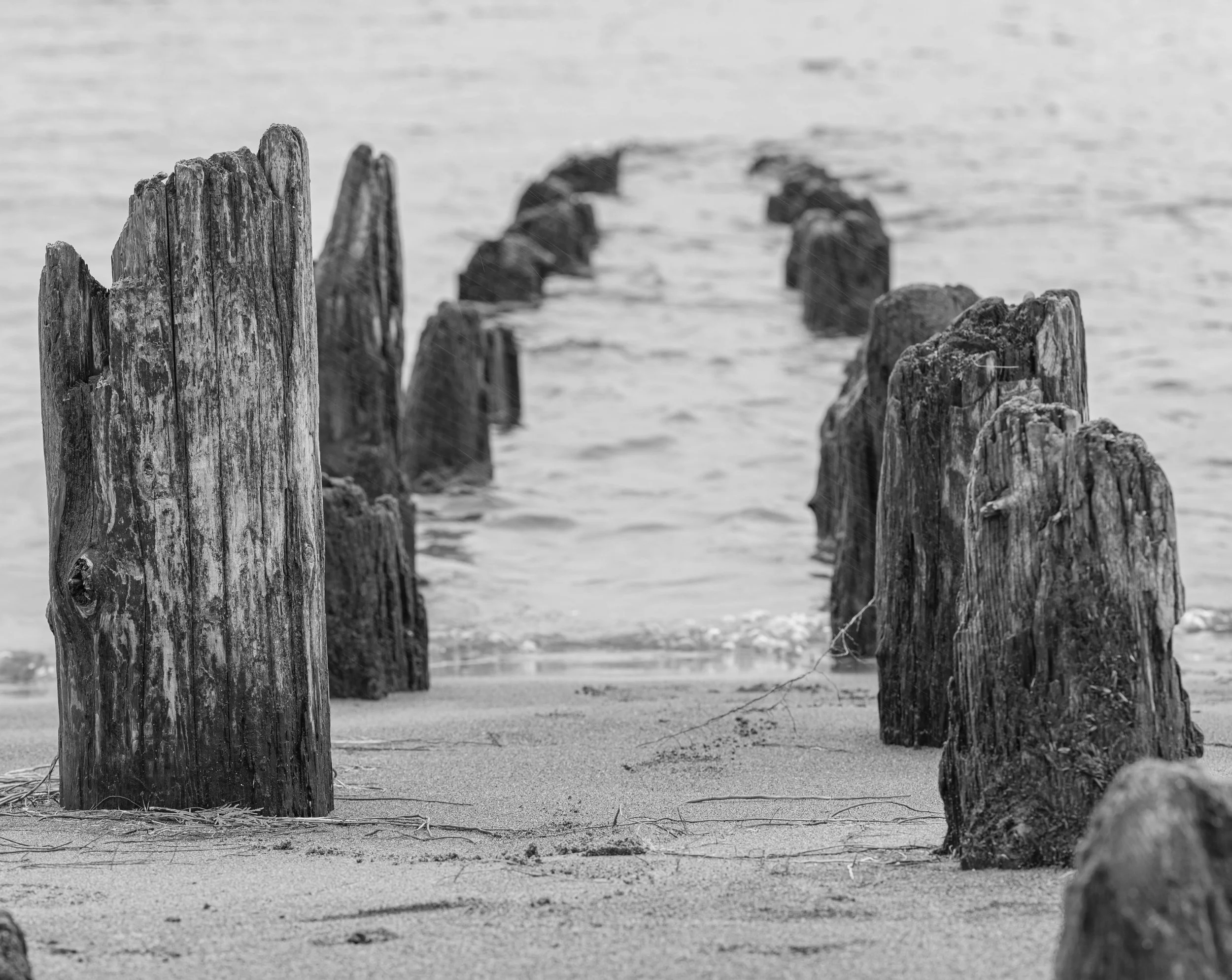 untitled shoot-6931.jpg