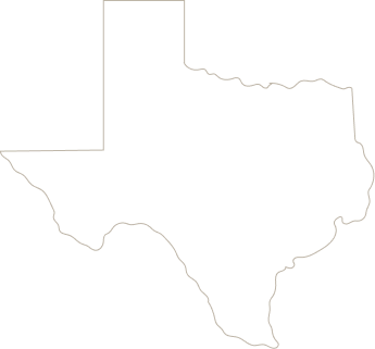 Texas vector graphics