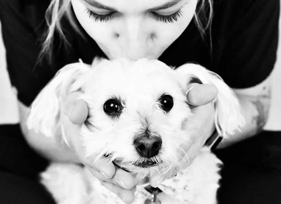 A woman with long hair and closed eyes kisses a small, white, fluffy dog on the head. The woman is holding the dog gently with both hands, and the dog looks directly at the camera.