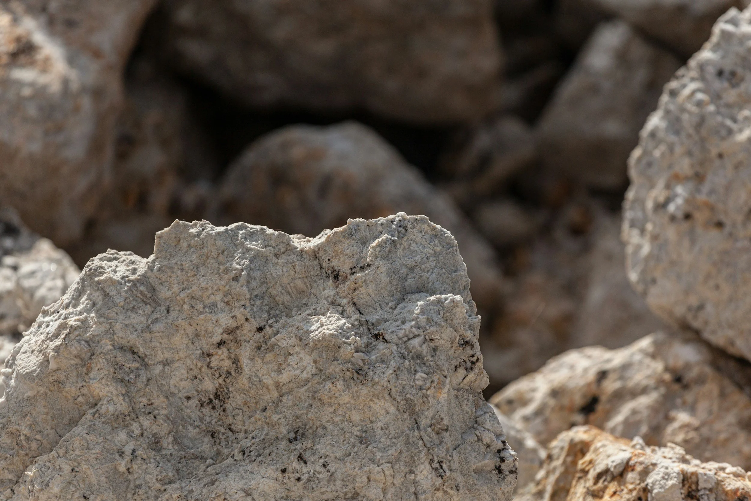 Close-up image of light-colored rocky stones.