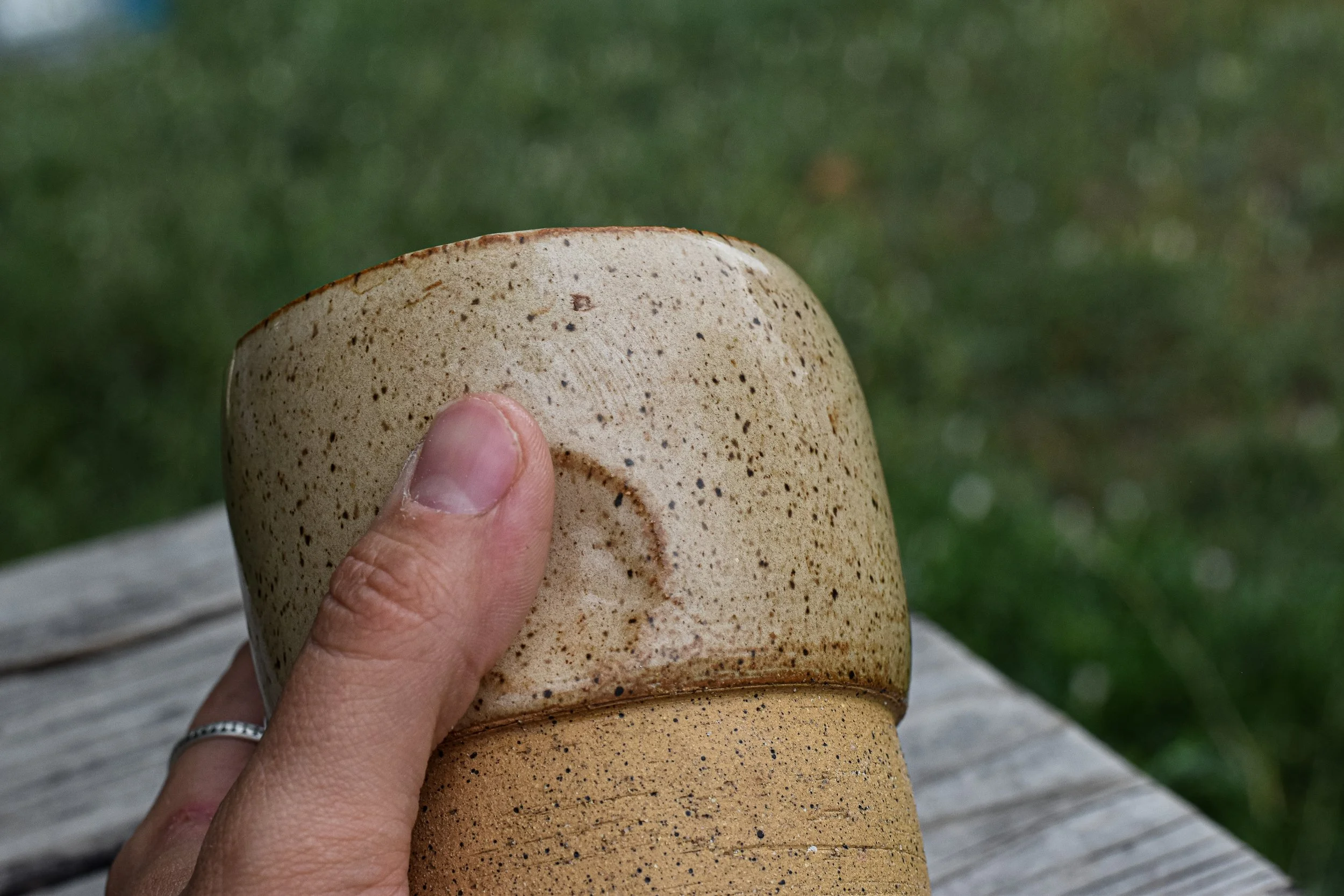 DSC_0428 2.jpg