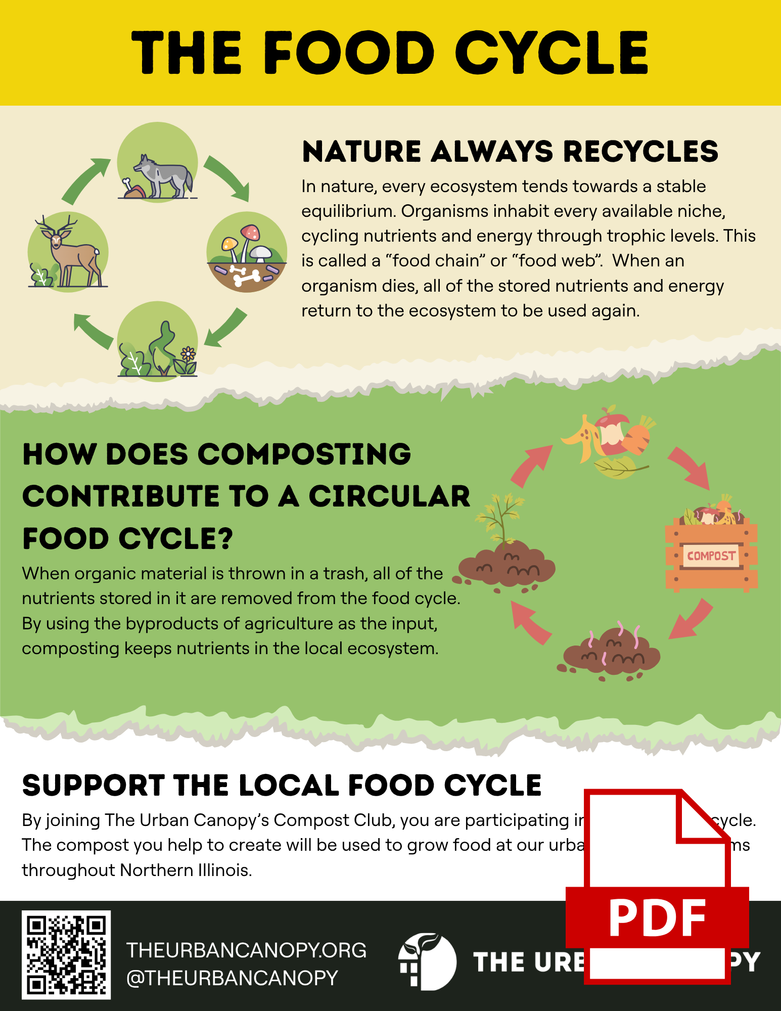 The Food Cycle Flyer PDF