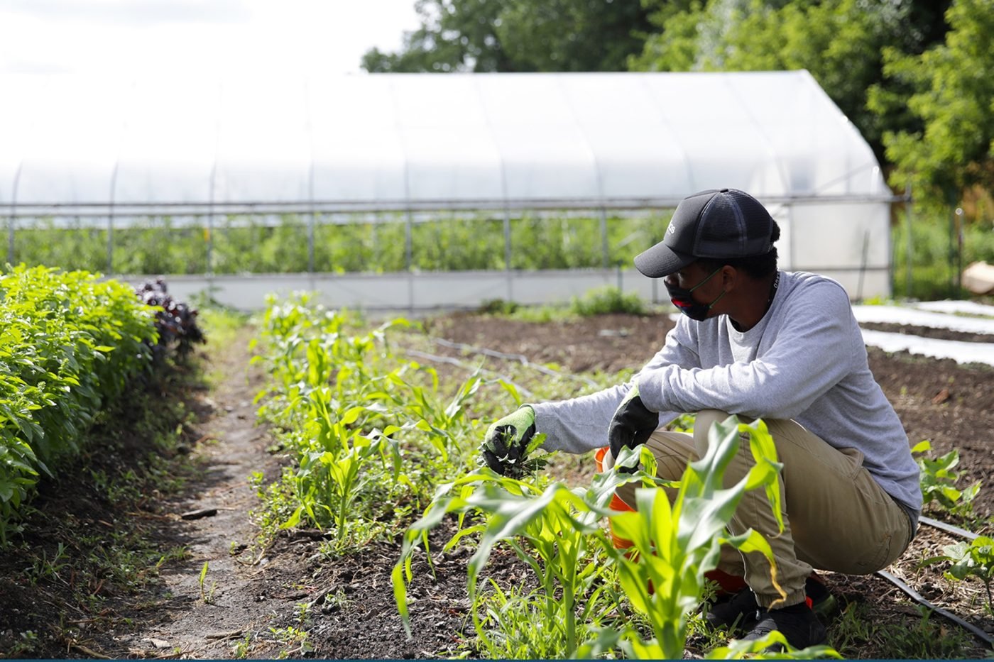 gary comer youth farm.jpg