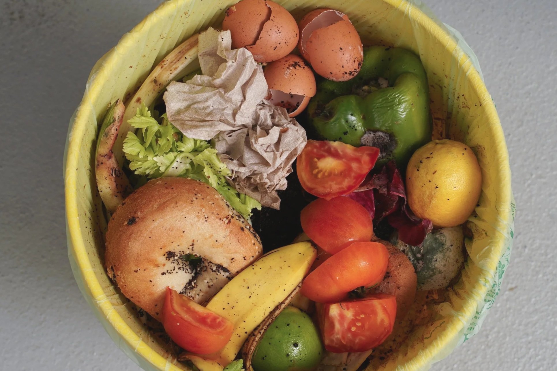 Residential & Commercial Compost Collection Service in Chicago — The ...
