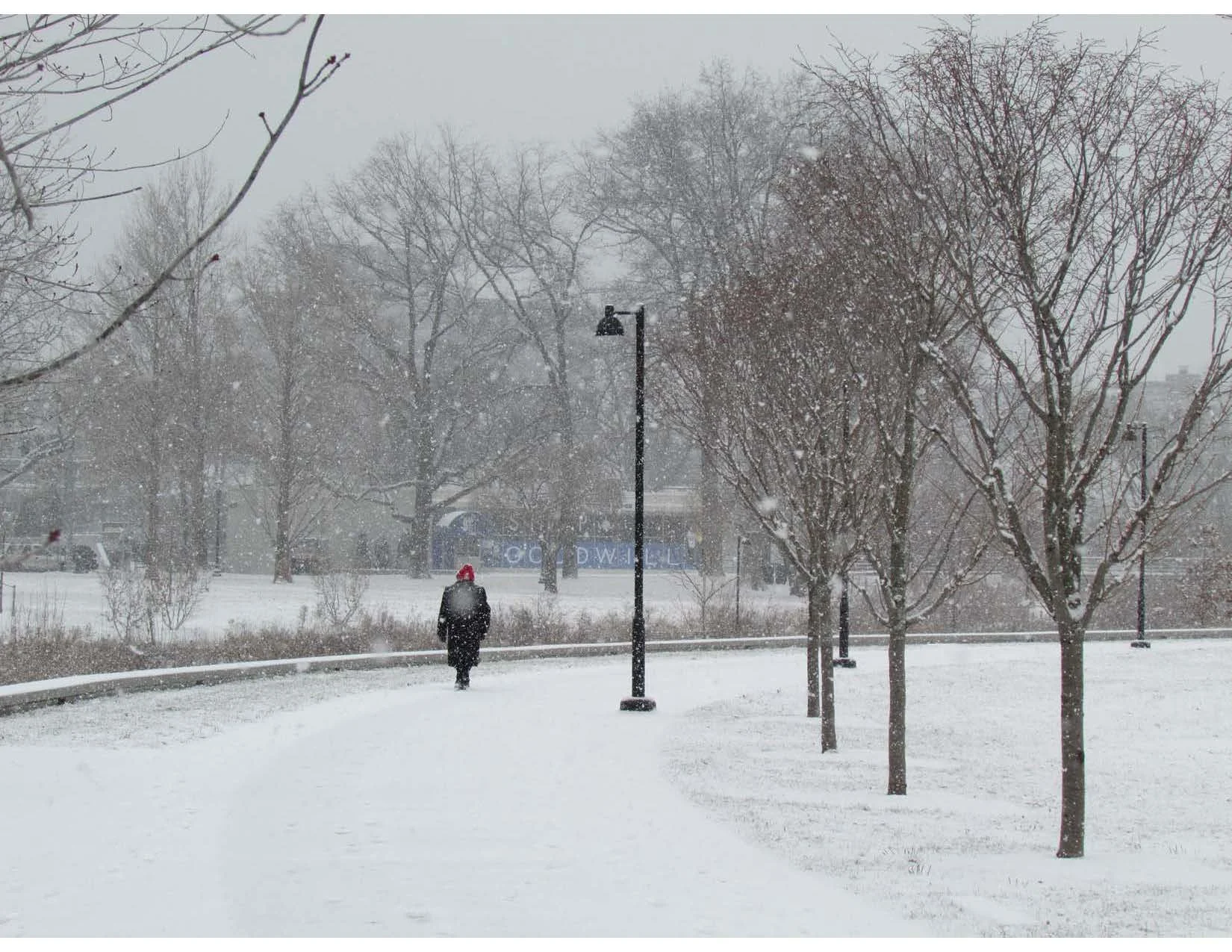 Mill River Park