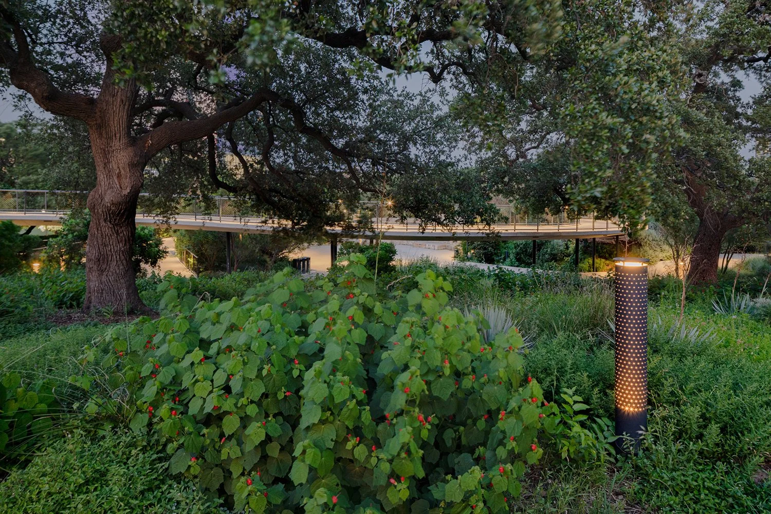 Firefly Bollard