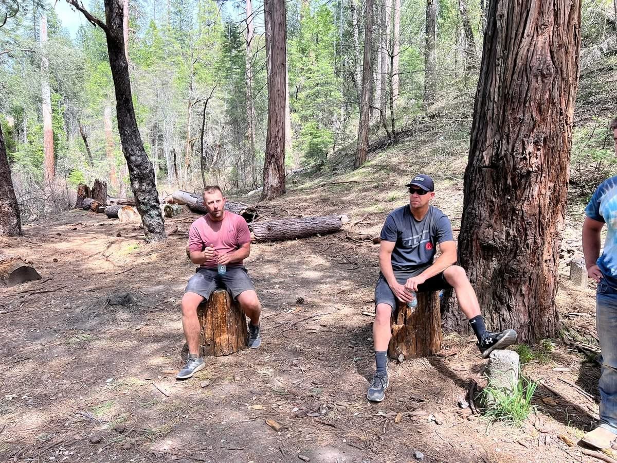 Two men sitting on tree stumps in a wooded forest area with trees and fallen logs around them.