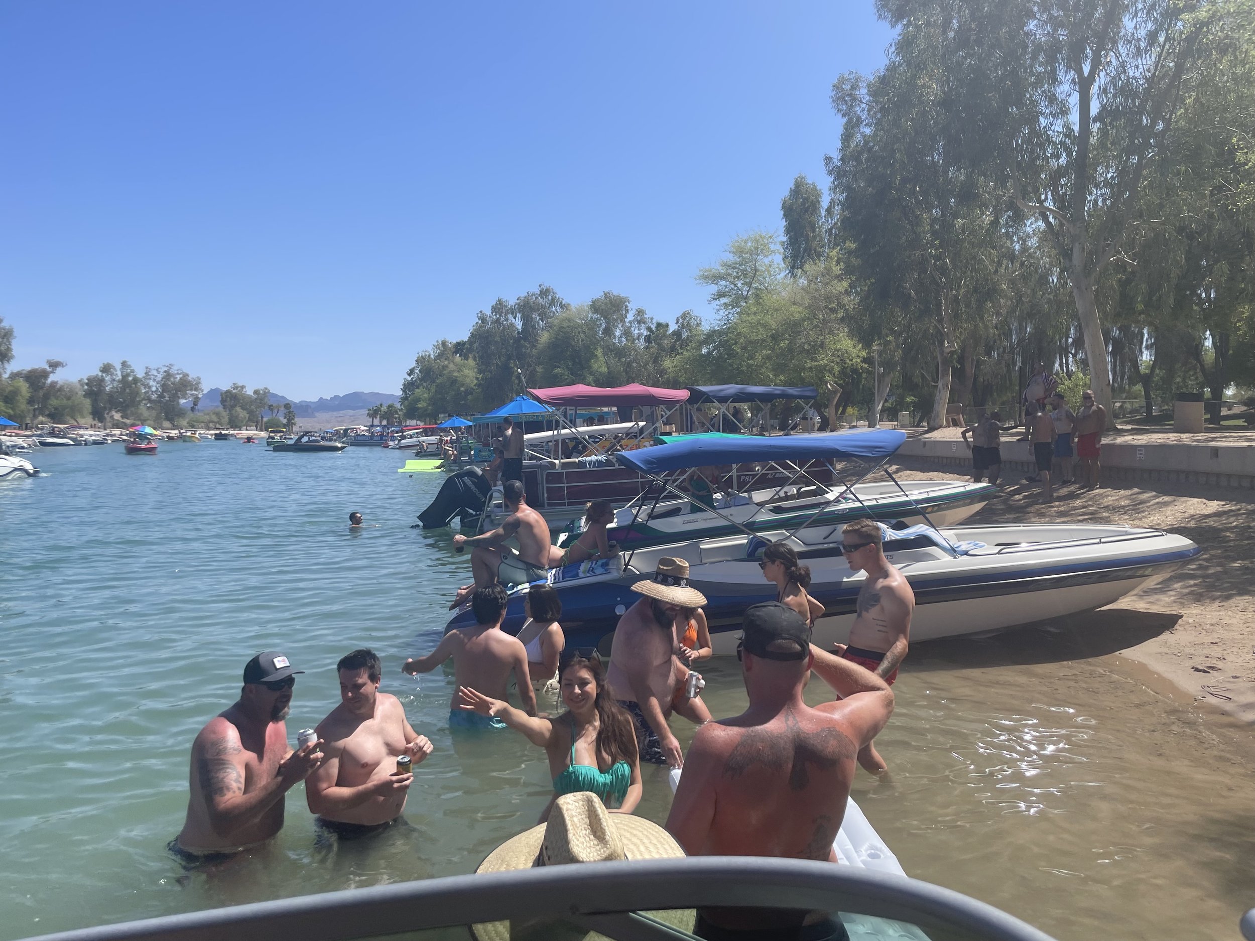 People enjoying a sunny day at a marina with boats docked and swimming in the water, surrounded by trees and a distant landscape.