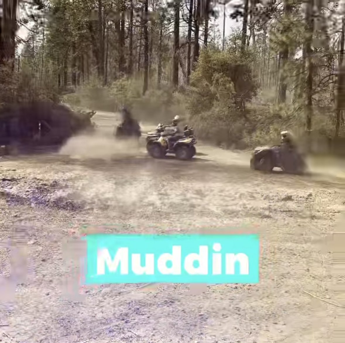 Four people riding all-terrain vehicles (ATVs) through a dusty forest trail with trees and bushes in the background. The word 'Muddin' in bold blue and white text is overlaid in the lower part of the image.