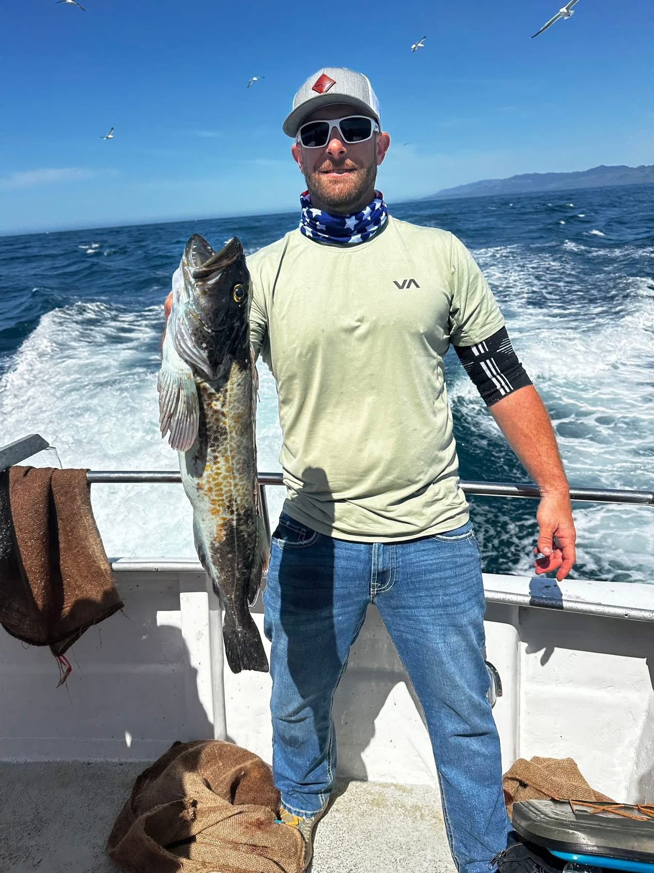 A man wearing sunglasses and a cap holds a large fish on a boat in the ocean with seagulls flying above and distant land on the horizon.
