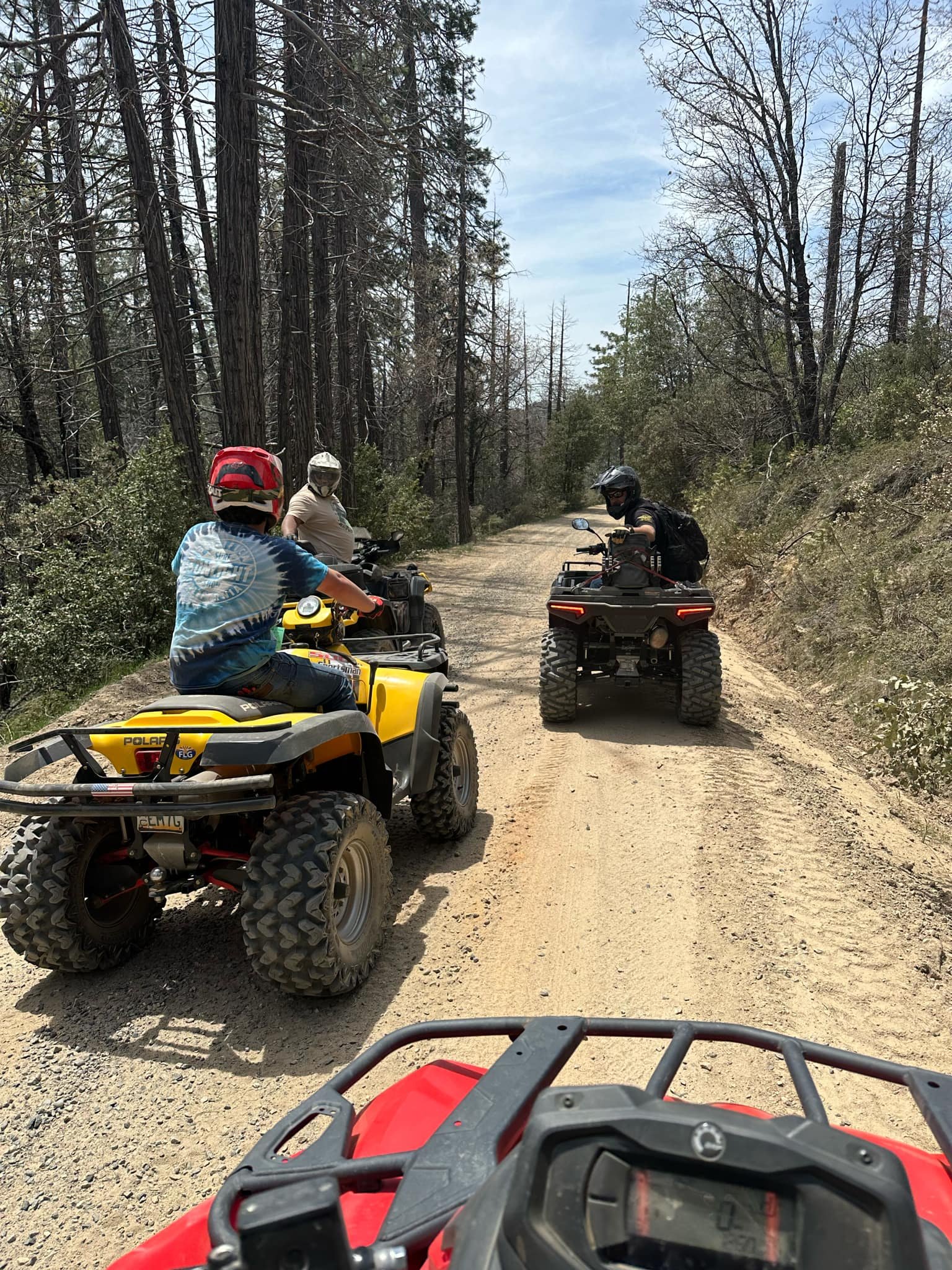 Four people riding all-terrain vehicles on a dirt trail in a forested area with tall trees and partly cloudy skies.