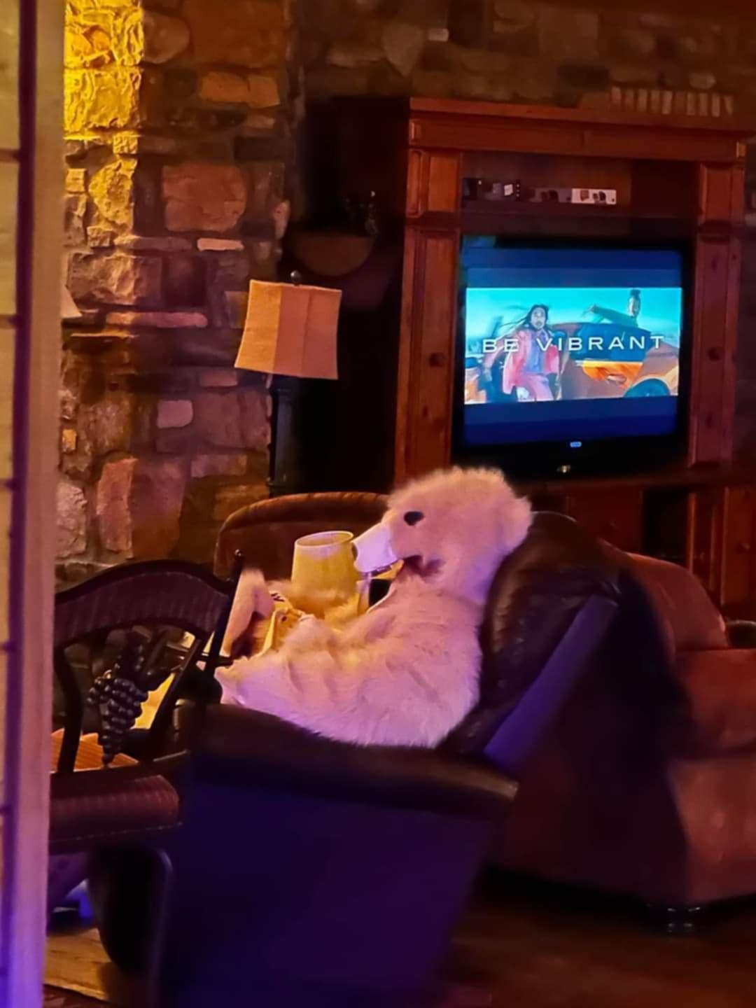 A white dog relaxing on a recliner in a cozy living room, with a television displaying the words "BE VIBRANT" and a mountain scene in the background.