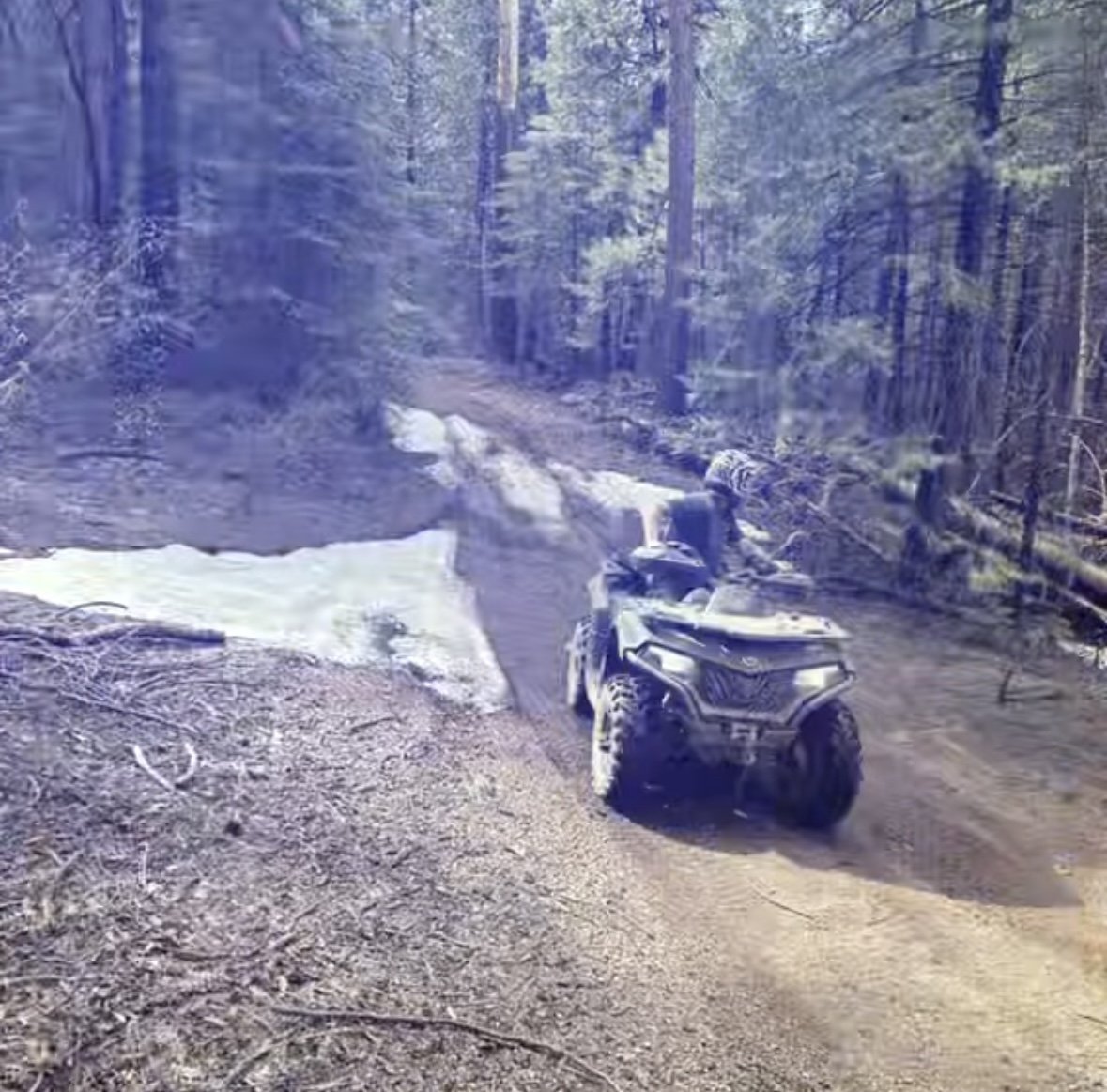 An all-terrain vehicle (ATV) driving through a forest trail with snow patches on the ground and tall trees surrounding the path.