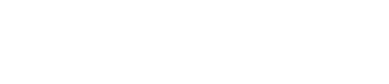 TRIANGLE LTD