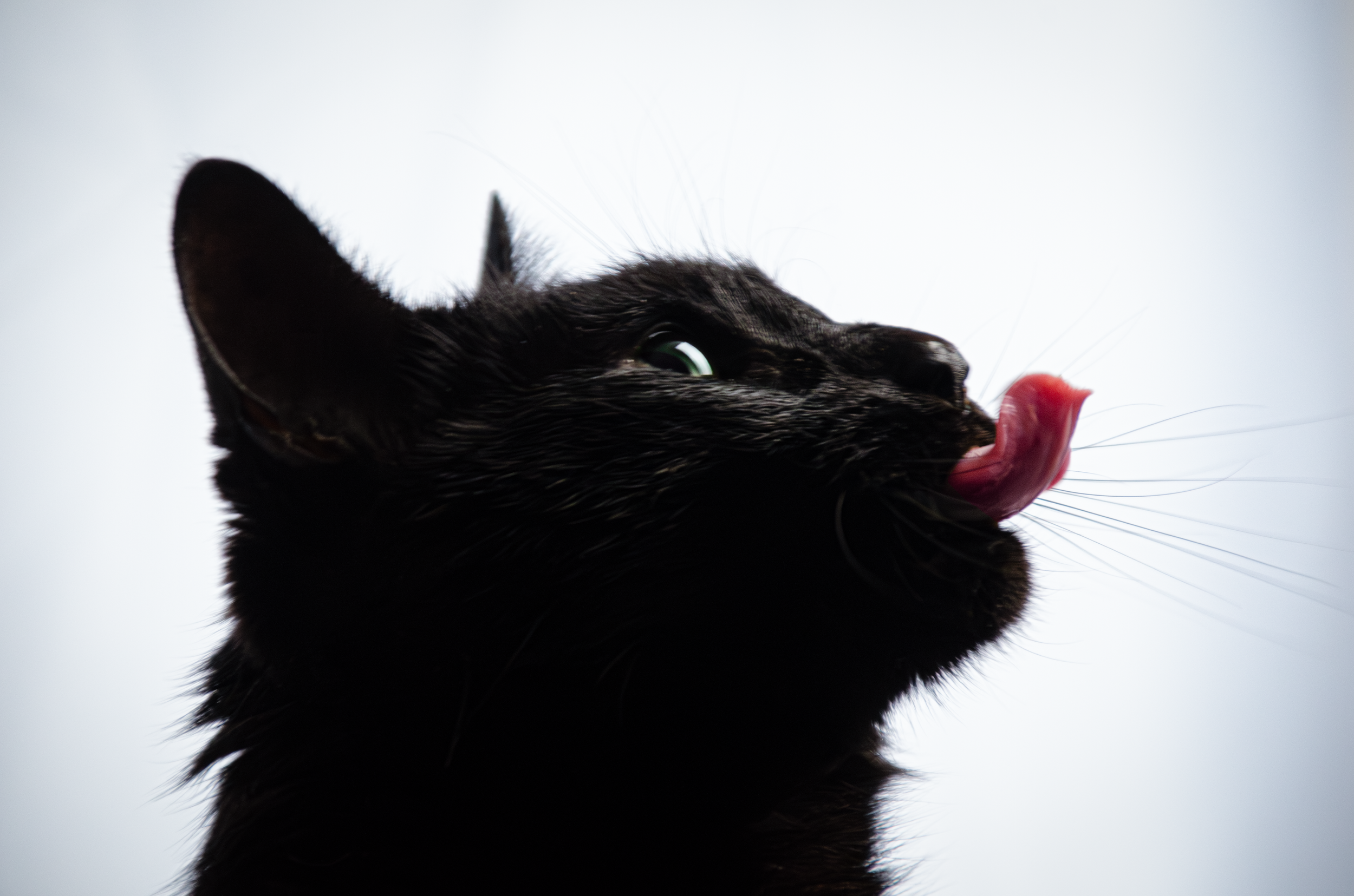 _DSC0185-Enhanced-NR-Edit.png