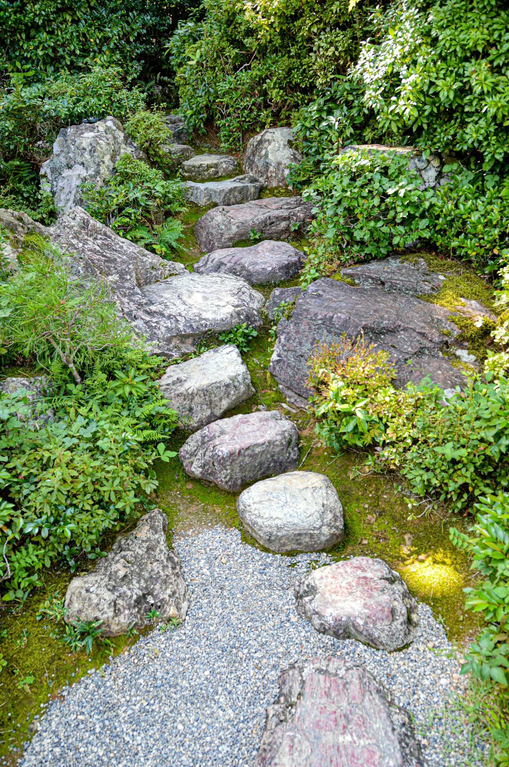 A quiet natural pathway surrounded by greenery, symbolizing transition and movement