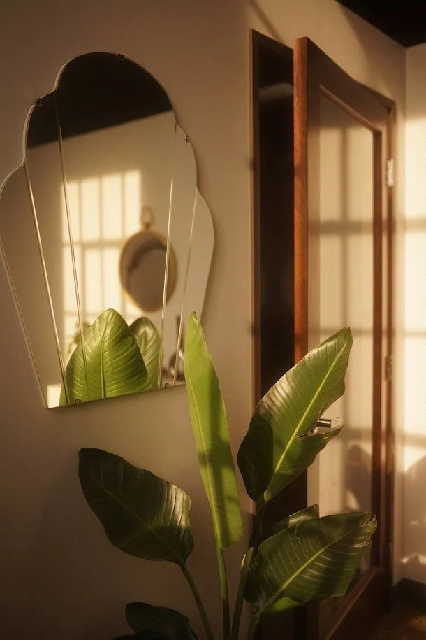 A potted plant with large green leaves in front of a mirror on a wall. Sunlight streams through a window, casting shadows.