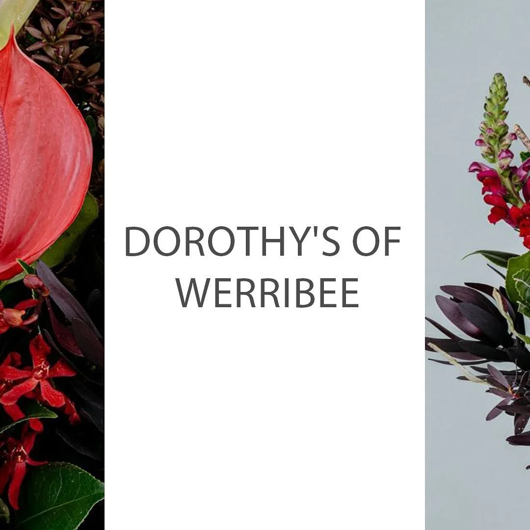 &ldquo;Here are some of the photos from our project with @dorothysofwerribee 🤍🌱
#melbournephotographer #flowerphotography #melbourneflower #productphotography