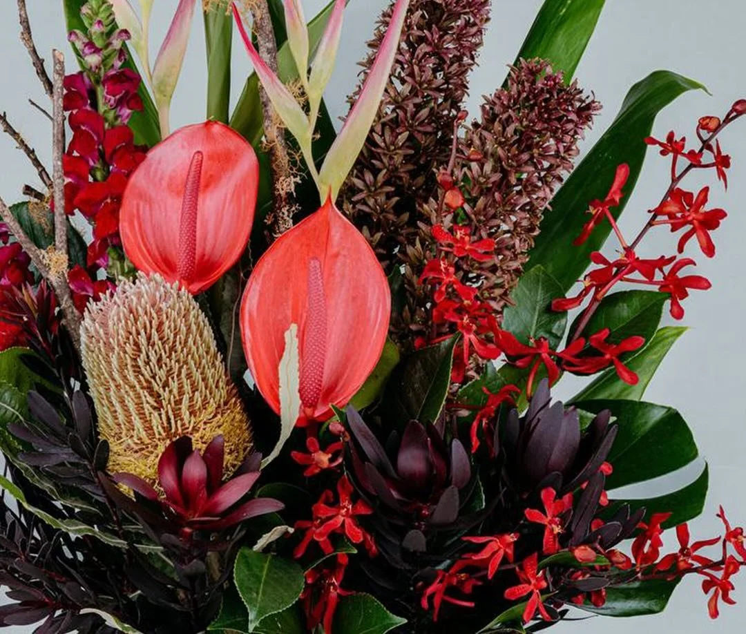 Bold Australian natives in vibrant reds and rich textures from the photos we took of flowers for @dorothysofwerribee 🌱🌹