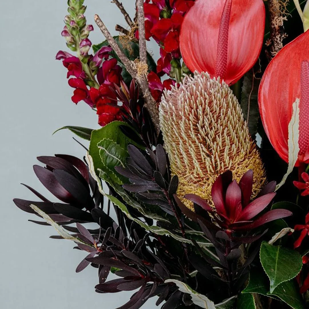 Bold Australian natives in vibrant reds and rich textures from the photos we took of flowers for @dorothysofwerribee 🤍🌱