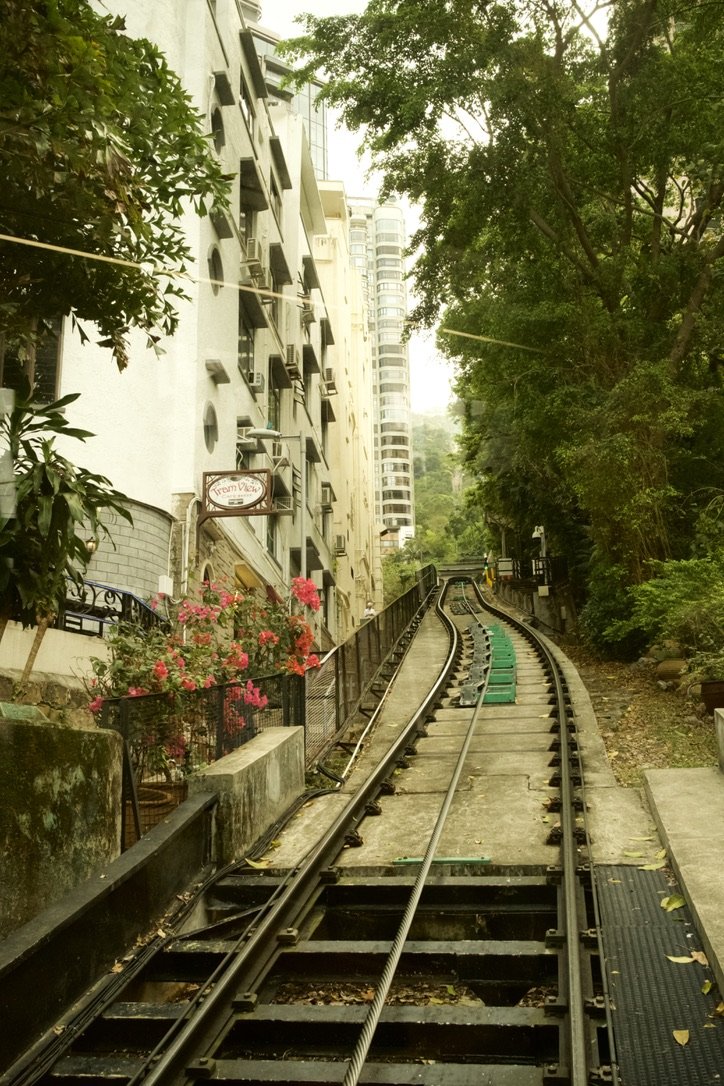 B10D39DC-9A51-49FE-AAE7-239C840C02D7_1_105_c.jpeg