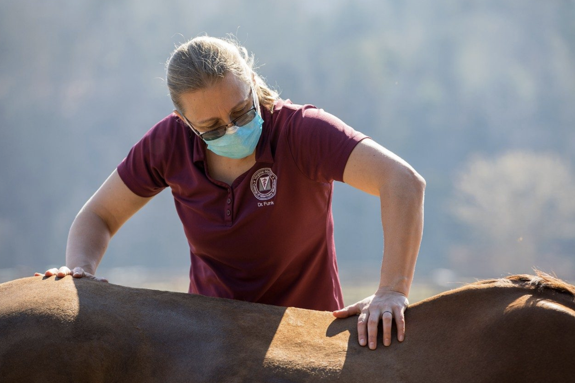 5 Benefits of Equine Chiropractic