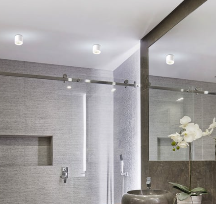Modern bathroom with gray tiles, glass shower doors, ceiling-mounted lights, and a mirror reflecting a white orchid in a gray vase.