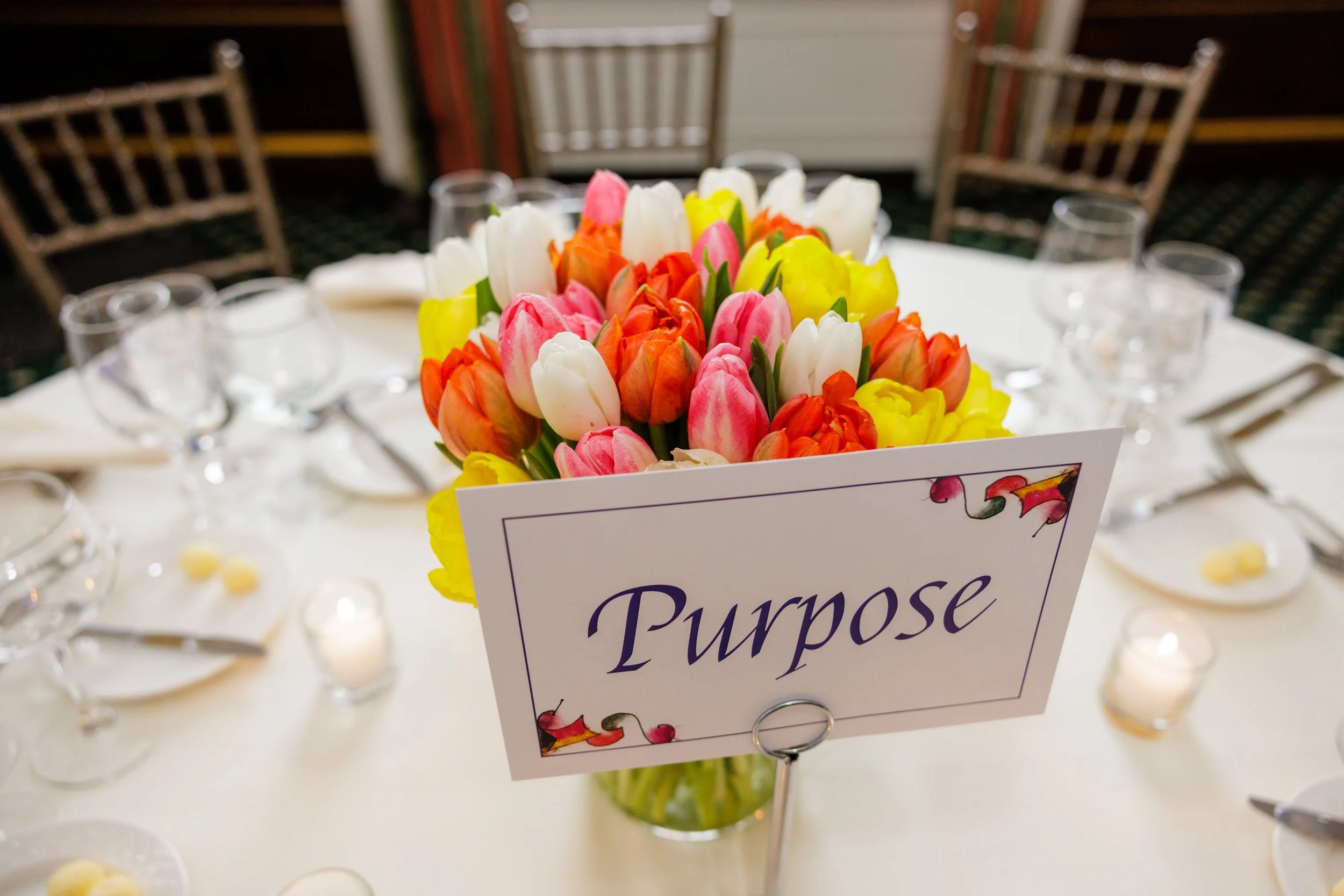 An Evening of Gratitude-8935.jpg