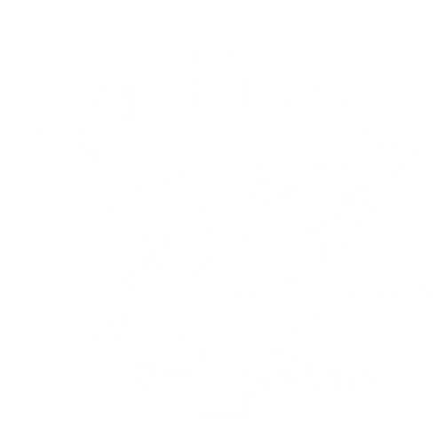 Bold Church Template (Spring 2025) (Copy)