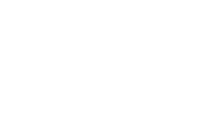 haywire_full_logo-transformed.png