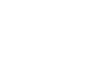 image-asset.png