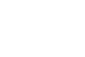 white+OTWH.png