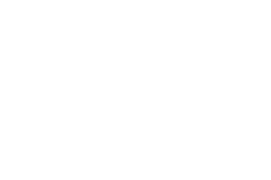 001_Blue Mesa Grill_logo.png
