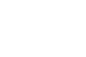 Vidorra Logo Black.png