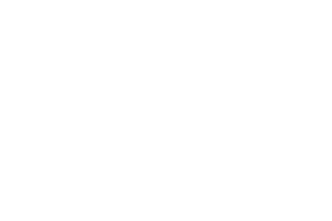 silver-fox-steak-logo.png