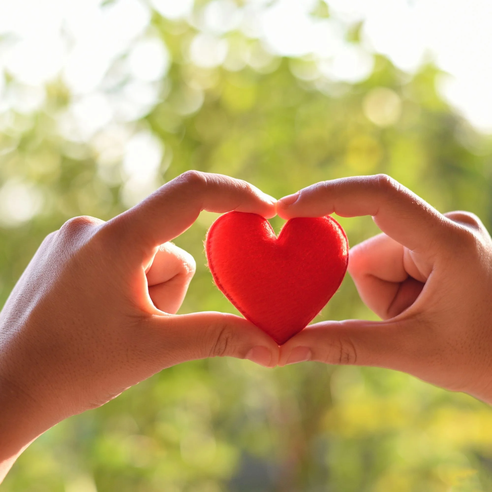 Person holding a red heart-shaped object with helped hands, with blurred green foliage background.
